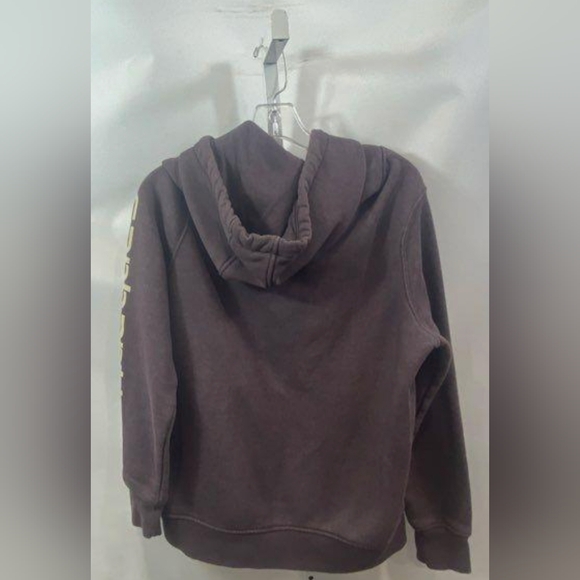Carhartt Clarksburg Graphic Sleeve Logo Hoodie Size M MSRP $59.99 - Picture 3 of 6